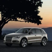 Arka Cam Su Fiskiye Memesi Audi Q5 2013-2017 8K9955985A - 2