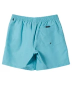 Quıksılver EVERYDAY VERT VOLLEY 16 Erkek Şort AQYJV03139-QK.BHA0 thumbnail 1