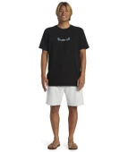Quıksılver SALT WATER FLEECE SHORT Erkek Şort AQYFB03035-QK.SZTH - 4