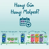 MOLPED EXTRA HİJYEN KARMA PAKET (32'Lİ GECE + 56'LI GÜNLÜK) - 8