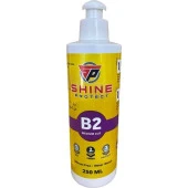SHİNE PROTECT B2 HARE GİDERİCİ 250ML - 1