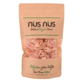 Tropikal Kurutulmuş Papaya - 1