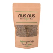 Yeşil Tane Biber - 1