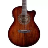 Washburn Ea55g Festival Elektro Akustik Gitar - 1