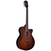 Washburn Ea55g Festival Elektro Akustik Gitar - 3