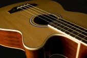 Washburn Ab5k Elektro-akustik Bas Gitar - 3