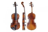 Gewa Allegro Vl1 4/4 Keman - 5