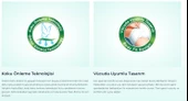 EVONY Bel Bantlı Yetişkin Hasta Bezi Large 30'lu 3 Paket 90 Adet - 3