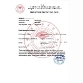 Pembe Telgraf Çiçeği (Tradescantia nanouk) - 6
