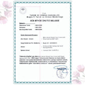 Küba Kekiği (Plectranthus amboinicus (Lour.) Spreng) - 3