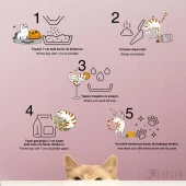 Kumcum Cat Litter Doğal Organik Naturel Bentonit Kedi Kumu 10 L - 8.5 KG - 5