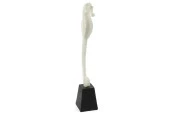 Mikasa Moor Biblo Deniz Atı 13X51 cm - 2