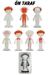 Gift Plus Ahşap Vücut Sistemleri 12x20 8 li - 5