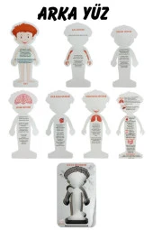 Gift Plus Ahşap Vücut Sistemleri 12x20 8 li - 6