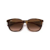 Ray-Ban RB4333D 710/13 55 Unisex Güneş Gözlüğü thumbnail 6