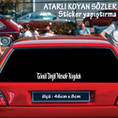 mesafe koyduk atarlı ukala türkçe şarkı anlamlı sözler - cam yazıları sticker etiket yapıştırma - 1