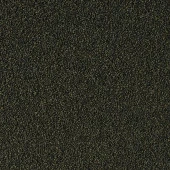 Tropical Spirulina Super Forte Granulat 100gr Skt: 11/2027 thumbnail 2