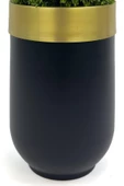 BİÇİÇEK   Şimşir Ağacı 90cm Siyah gold darbuka saksıda - 6
