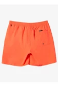 Quiksilver Everyday 15 Erkek Volley Fuşya Şort - 5