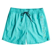 Billabong EBYJV00105 All Day Heritage Lb Erkek Şort Mayo thumbnail 1