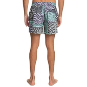 Quiksilver EQYJV04007 Surfsilk Mix 15 M Jamv Erkek Şort Mayo thumbnail 6