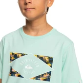 Quiksilver EQBZT04590 Circledline B Tees Erkek Çocuk Tişört - 5