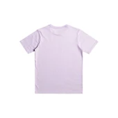 Quiksilver EQBZT04587 Signaturemove B Tees Erkek Çocuk Tişört thumbnail 3