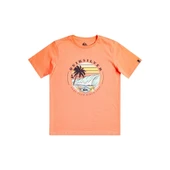 Quiksilver EQBZT04641 Qssurfclub B Tees Erkek Çocuk Tişört - 1