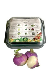 Şalgam (ADA) Çimlendirme Kiti - 1