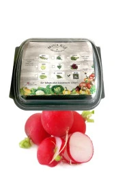 Turp (İRİ KIRMIZI) Çimlendirme Kiti - 1