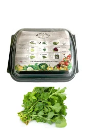 Tere Çimlendirme Kiti - 1