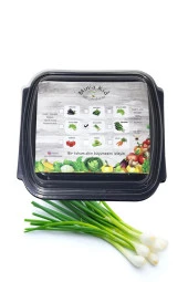 Soğan Demet (TAZE YEŞİL) Çimlendirme Kiti - 1