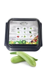 Kabak (YAĞMUR) Çimlendirme Kiti - 1