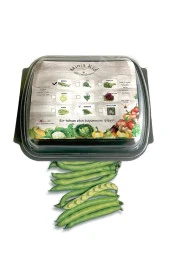 Bakla Çimlendirme Kiti - 1