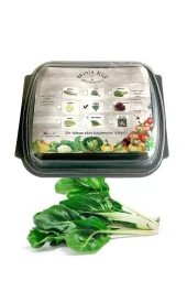 Pazı (AÇIK YEŞİL) Çimlendirme Kiti - 1