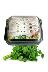 Maydanoz Çimlendirme Kiti - 1