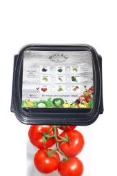 Domates (İNVİCTUS) Çimlendirme Kiti - 1