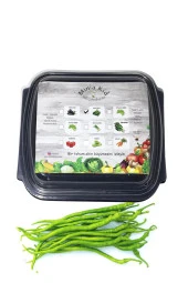 Sivri Biber (ACI) Çimlendirme Kiti - 1