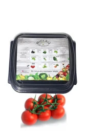 Domates (salkım) Çimlendirme Kiti - 1