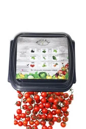 Domates Cherry Çimlendirme Kiti - 1
