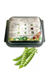 Bezelye Çimlendirme Kiti - 1