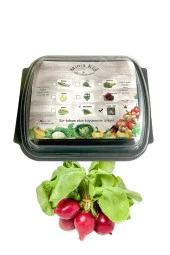 Fındık Turp Çimlendirme Kiti - 1