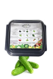 Salatalık (turşuluk) Çimlendirme Kiti - 1