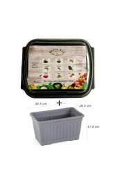 Minia Kid Domates (çanakkale) Çimlendirme Kiti Ve Saksı thumbnail 1