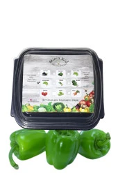 Dolma Biber (kandil) Çimlendirme Kiti - 1