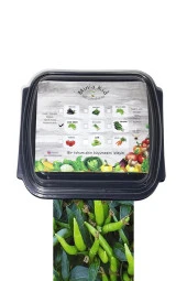 Gediz Biber (acı) Çimlendirme Kiti - 1