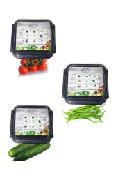 Salkım Domates-tatlı Kıl Biber-salatalık Çimlendirme Kiti (3'lü Set) - 1