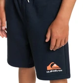 Quiksilver EQBFB03144 Easy Day B Otlr Erkek Çocuk Şort - 5