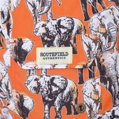 Routefield RFVINCE23 Vince Erkek Şort Mayo - 4