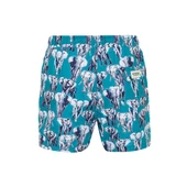 Routefield RFVINCE23 Vince Erkek Şort Mayo - 2